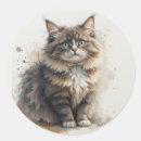 Buscar pelo del gato pegatinas Animal