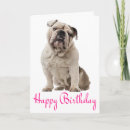 Buscar english bulldog postales Perro
