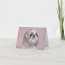 Buscar perro del tzu de shih tarjetas Blanco