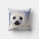 Buscar foca cojines Cría