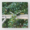 Buscar pera relojes de pared Fruta