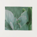 Buscar plantas fotografía Cactus