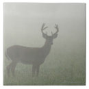 Buscar mountains azulejos Naturaleza