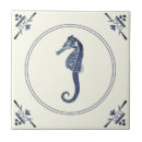 Buscar caballo de mar azulejos Náutico