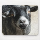 Buscar cabras alfombrillas de raton Animales