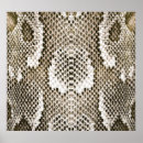 Buscar serpiente blanca posters Blanco