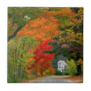Buscar hampshire azulejos Otoño