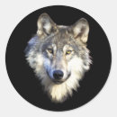 Buscar lobo salvaje pegatinas Fauna