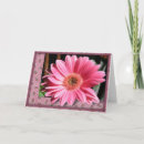 Buscar gerbera tarjetas Gerber daisy