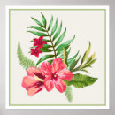 Buscar hawaianas posters Nativo