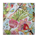 Buscar aves azulejos Animales