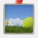 Buscar pelotas de tenis adornos Deportes