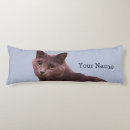 Buscar gato azul ruso cojines Gatito