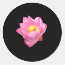 Buscar agua pegatinas Hermoso