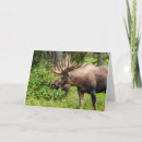 Buscar anchorage tarjetas Vida silvestre