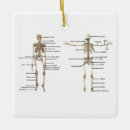 Buscar anatomía adornos Médico