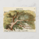 Buscar alicia postales Alice