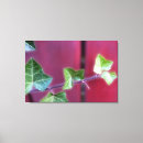 Buscar marfil lienzos Verde