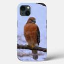 Buscar halcones iphone fundas Raptor