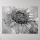 Buscar vintage sunflower arte Girasol