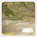 Buscar savannah pegatinas Joanne wells