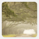 Buscar savannah pegatinas Joanne wells