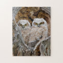 Buscar búho grande puzzles Bubo virginianus