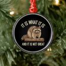 Buscar mapache adornos Navidad