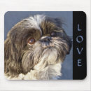 Buscar shihtzu electronica Perro
