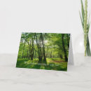 Buscar bosque profundo tarjetas Para todos