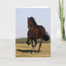 Buscar andaluz tarjetas Caballo