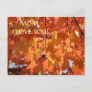 Buscar te quiero postales Madre