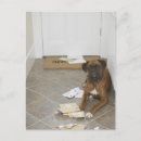 Buscar doormat postales Humor