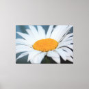 Buscar flores grises lienzos Moderno