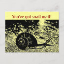 Buscar caracol lindo postales General y unisex