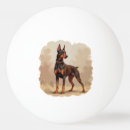 Buscar perros pelotas de ping pong Ilustración