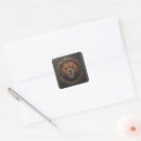 Buscar oso grizzly pegatinas Osos