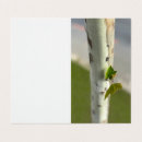 Buscar birch tarjetas Verde