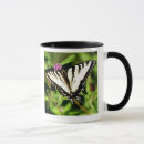 Buscar swallowtail tazas Primer