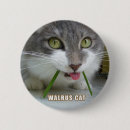 Buscar gato del lol pins Lolcats