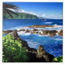 Buscar hawaii azulejos Océano