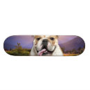 Buscar toro tablas de skate Lindo