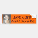 Buscar aspca Perrito