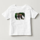 Buscar blackwater camisetas Cascada