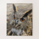 Buscar ojos grandes puzzles Búho
