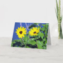 Buscar susan tarjetas Flor