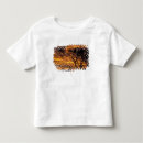 Buscar kata camisetas Paisaje