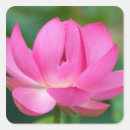 Buscar joanna pegatinas Loto