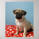 Buscar barro amasado posters Animal