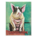 Buscar guarro posters Animal